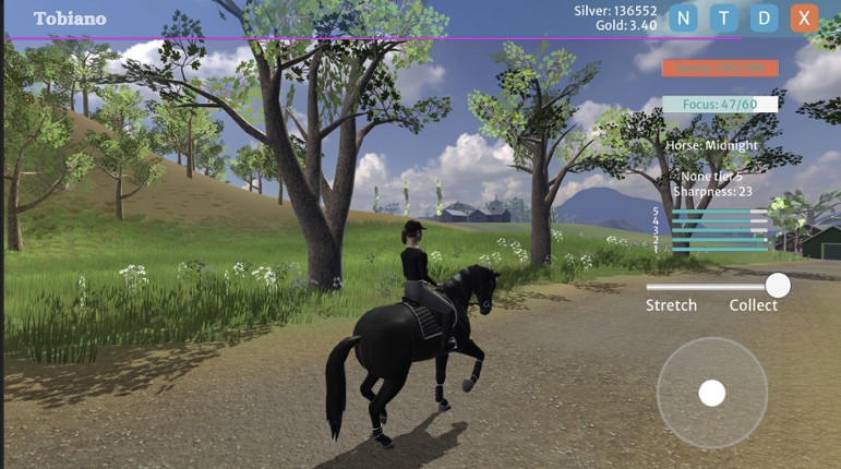 Tobiano screenshot