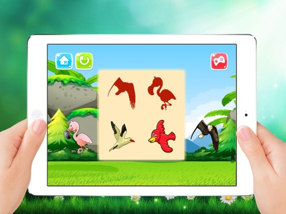Birds of World Drag Drop and Match Shadow for kids screenshot