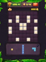 Block Puzzle Level Image