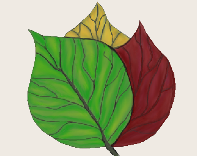 Games like Buche grün & Buche rot