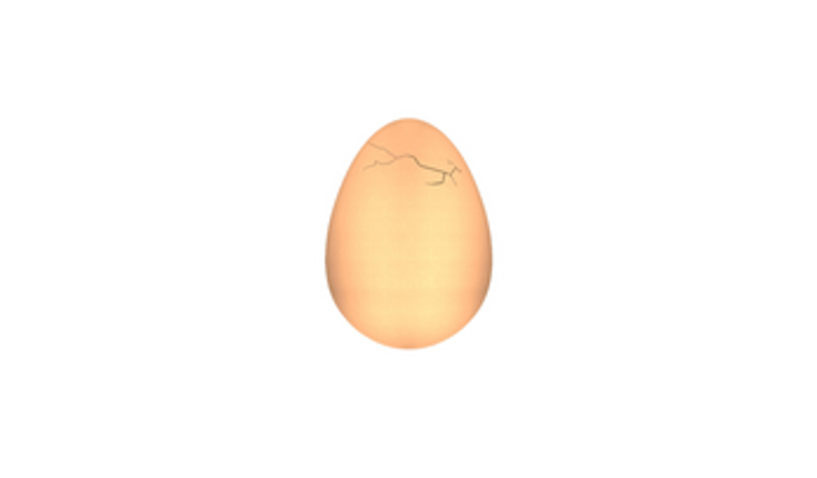 Egg Image