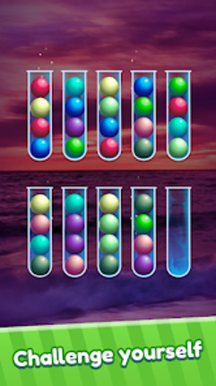 Ball Color Puz - Sorting Game Image