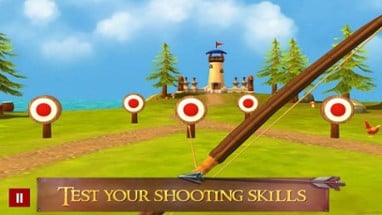 Hit Bow Cup:Archery Master 3D Image