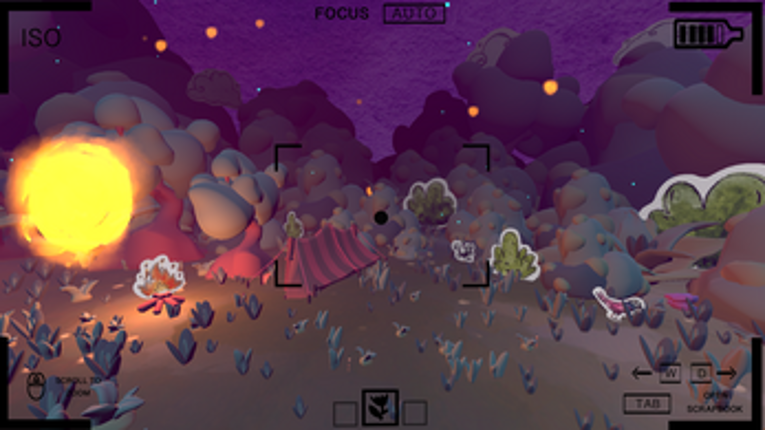 I'm In The Forest With My Dad And The Frogs Are Watching Image