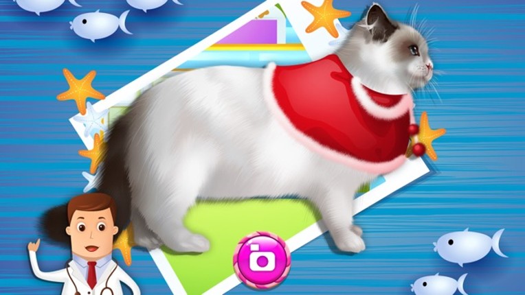 Pet Vet Doctor: Cats & Dogs Rescue - Free Kids Game Image