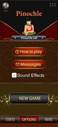 Pinochle.Net screenshot