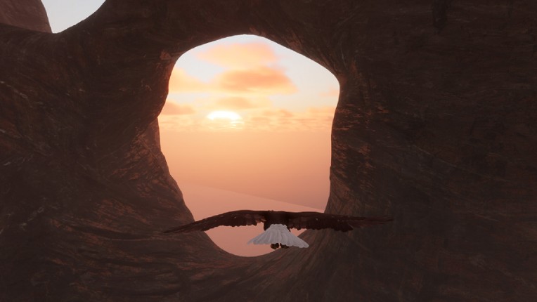 Bird Game 3 screenshot