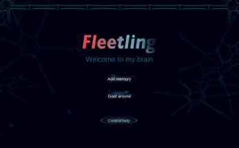 Fleetling Image