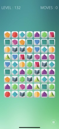 Puzzledrome Image