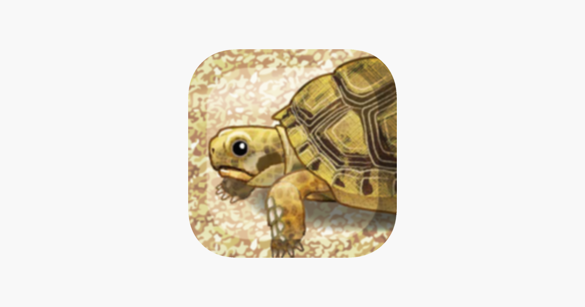 Games like Tortoise Pet