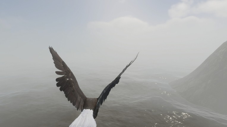 Bird Game 3 screenshot