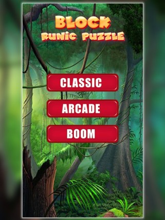 Block Runic Puzzle screenshot