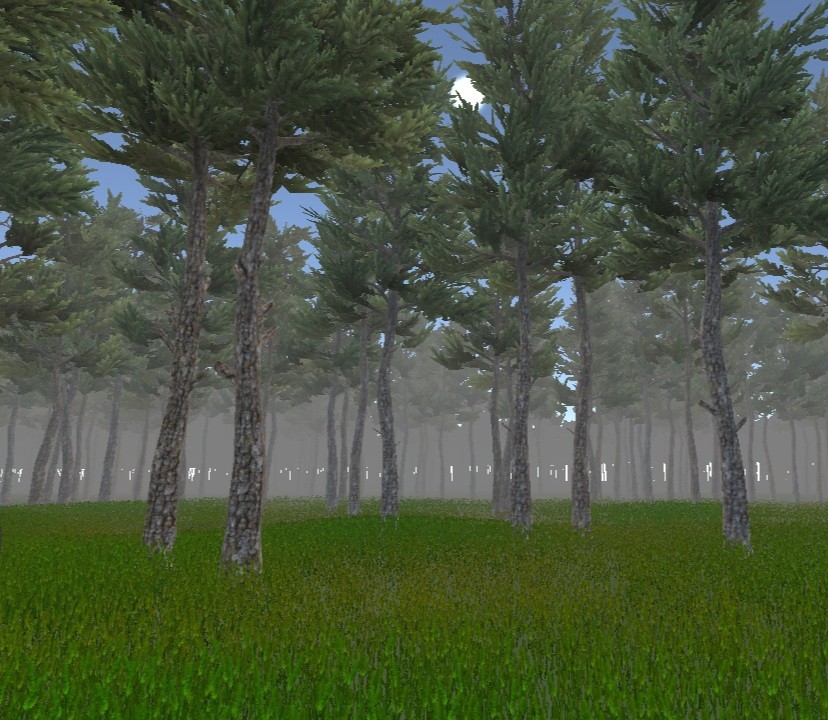 Games like Forest Exploration