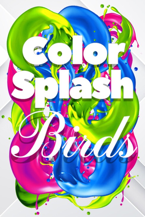 Games like Color Splash: Birds