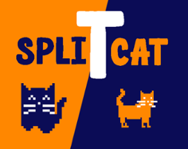 SplitCat Image