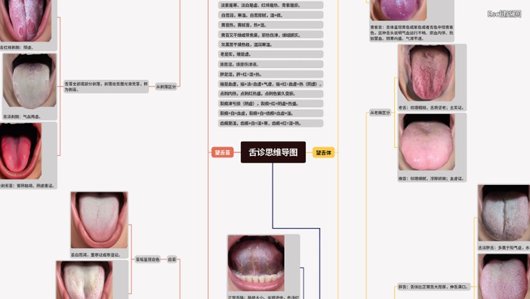 中医模拟传承人 screenshot