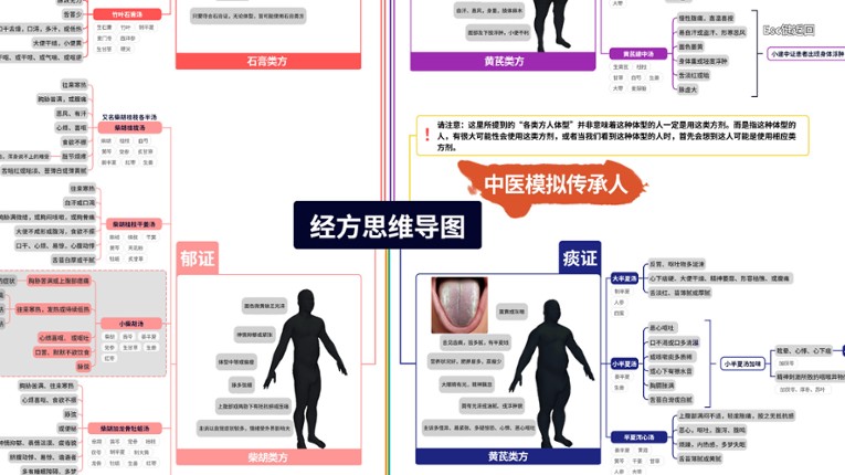 中医模拟传承人 screenshot