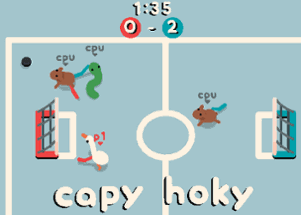 capy hoky Image