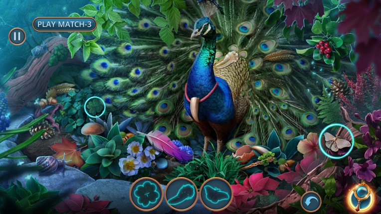 Enchanted Stories: Mystic Woods Collector's Edition screenshot
