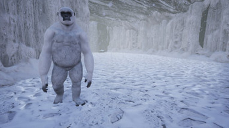 Find Yeti Image