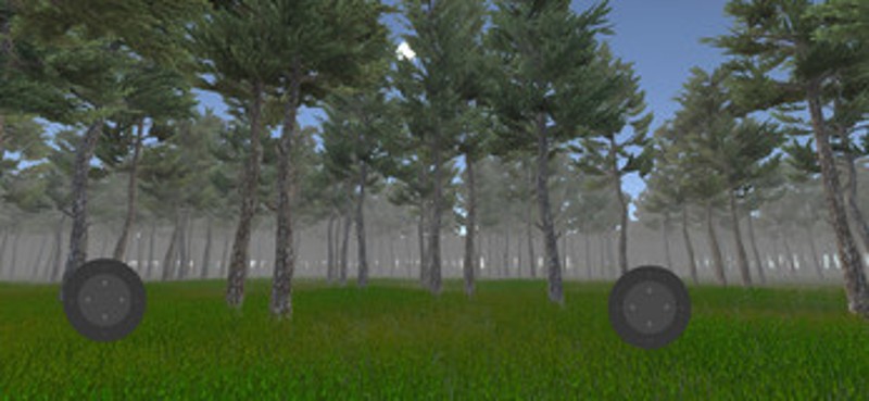 Forest Exploration Image