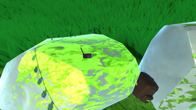 CALM MOSS Image
