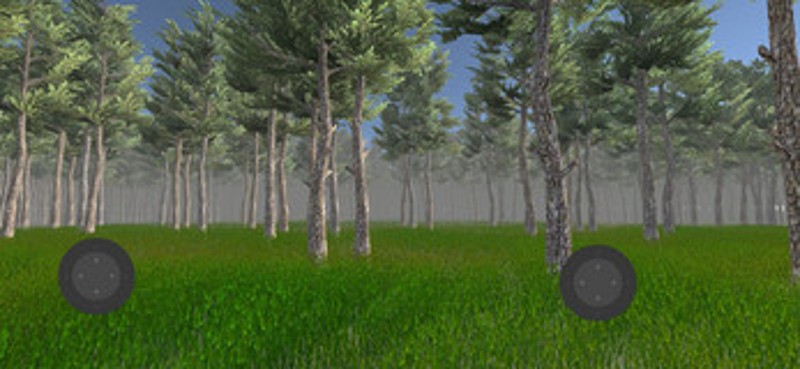 Forest Exploration Image