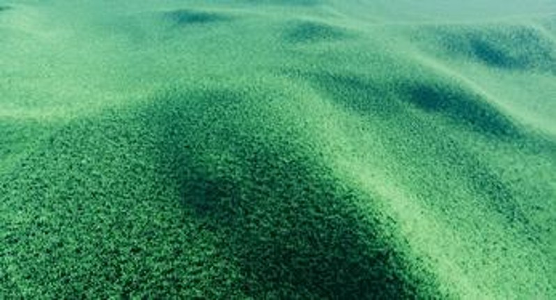 GrassLand Image