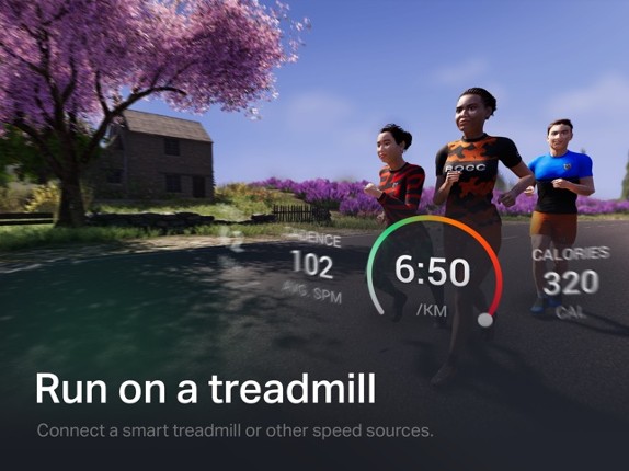 Rolla World screenshot