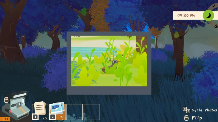 The Birdwatcher's Journal screenshot