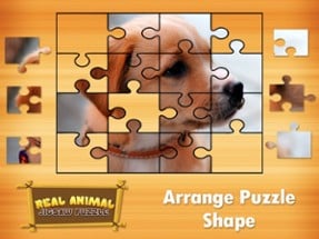 Animal Jigsaw Puzzles : puppy &amp; cat puzzles Image