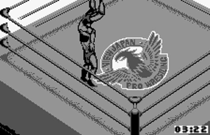 Fire Pro Wrestling for WonderSwan Image