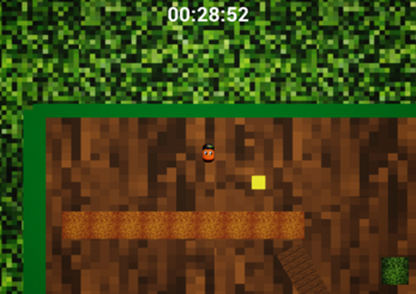 Fruit Roots Image