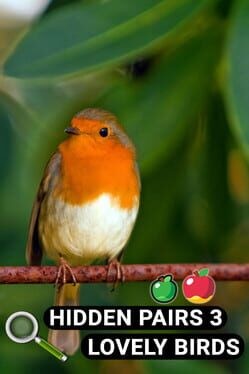 Games like Hidden Pairs 3: Lovely Birds