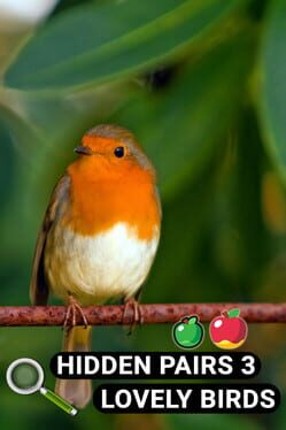 Hidden Pairs 3: Lovely Birds Image