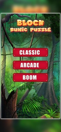 Block Runic Puzzle screenshot