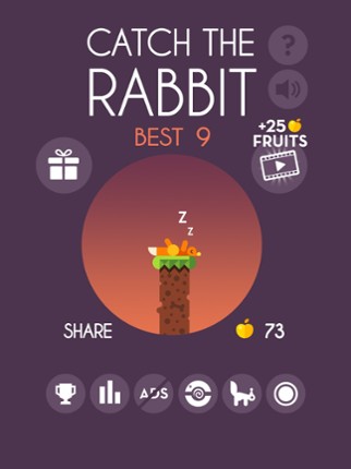 Catch The Rabbit screenshot