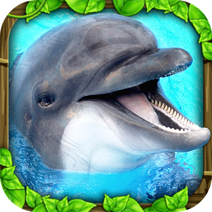 Dolphin Simulator Image