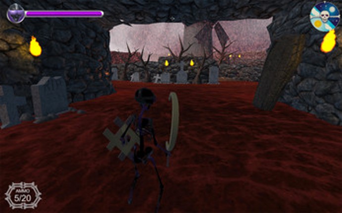 Bone Zone Image