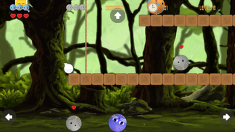 Cat Rat Dog Race II screenshot