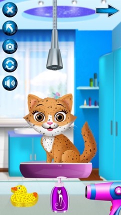 Kitten Spa - Animal Makeover Games (Boys &amp; Girls) Image