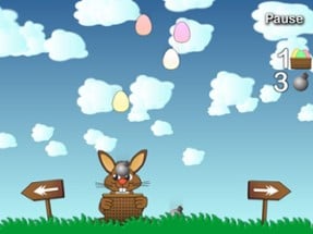 Rushing Bunny Image