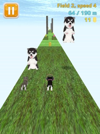 Cat Run - kitten running game screenshot