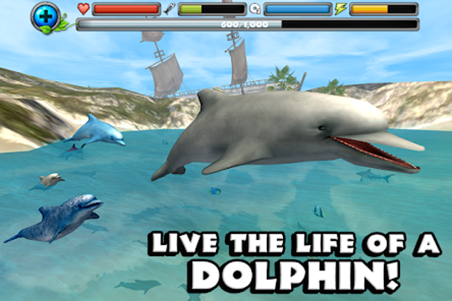 Dolphin Simulator screenshot
