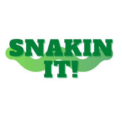 Snakin It! Game Cover