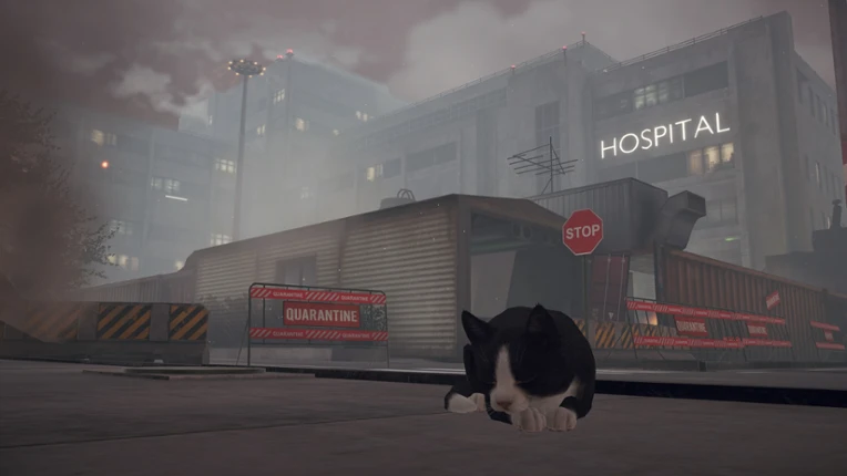 Little Strays 2: Cat Rescue Image