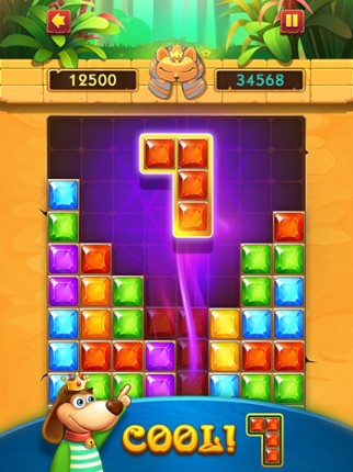 Block Puzzle Jewel . screenshot