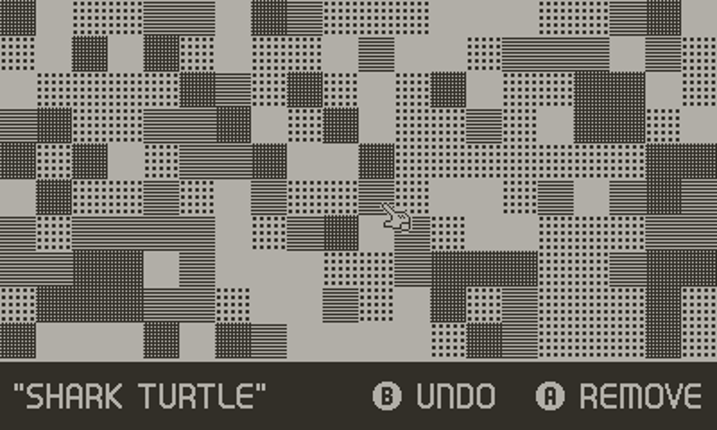 SHARK TURTLE Image