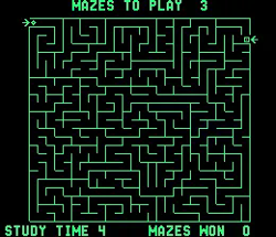 Amazing Maze Image