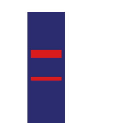 Brown Bull Racing Off Road Desert Runner Image